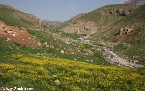جاهای دیدنی اطراف جاده هزار
